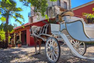 Ex Hacienda San Miguelito