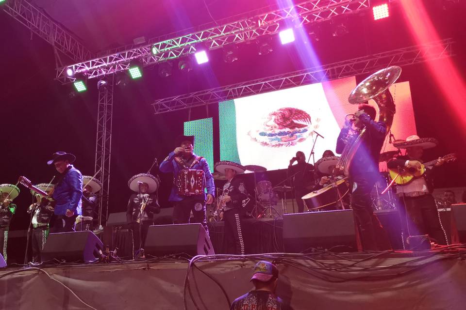 Acompañamiento a otros artista