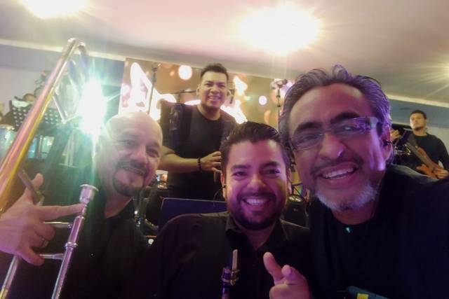 Músicos profesionales