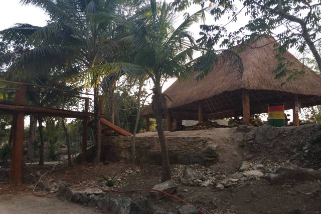 Palapa grande Tortuga