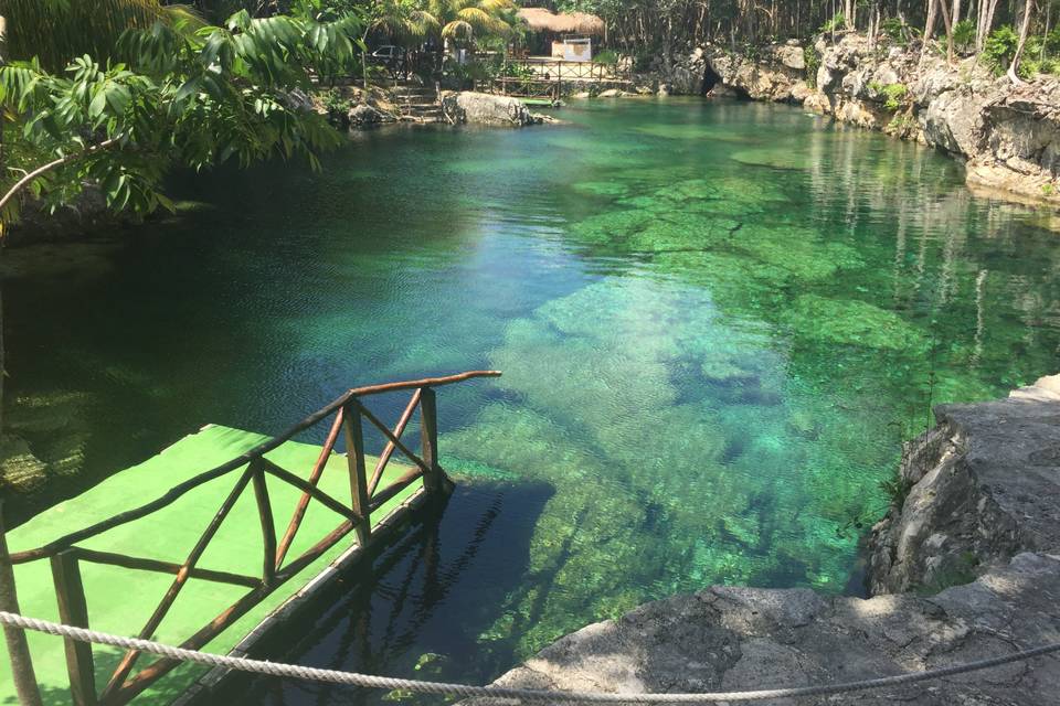 Cenotes Casa Tortuga Tulum