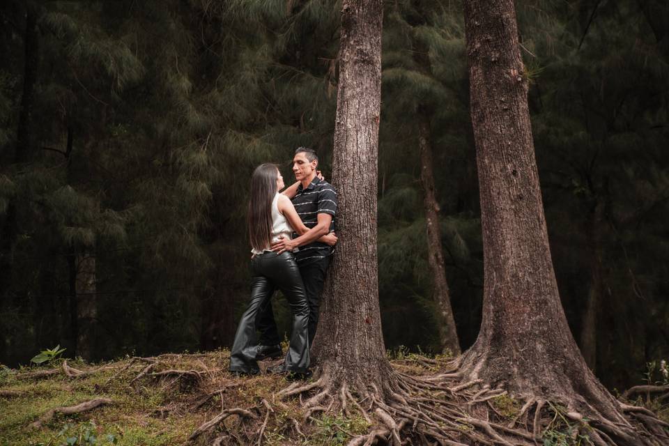 Pareja recargada en un árbol