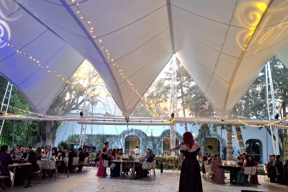 Dj para mi boda