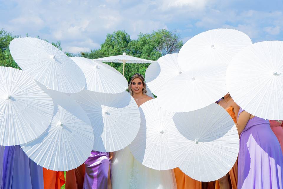 Ardea-Films