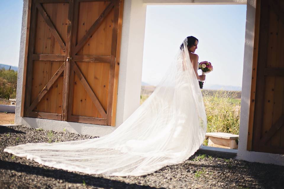 Novia en entrada rústica