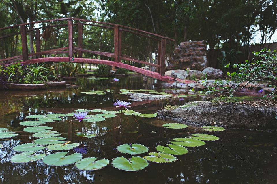 Puente y lago