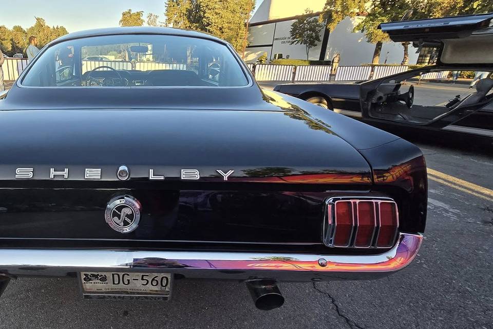 Mustang Shelby GT 500 1965