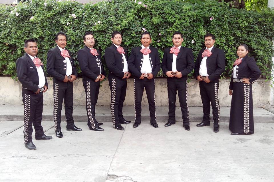 Mariachi Voz de Zacatepec