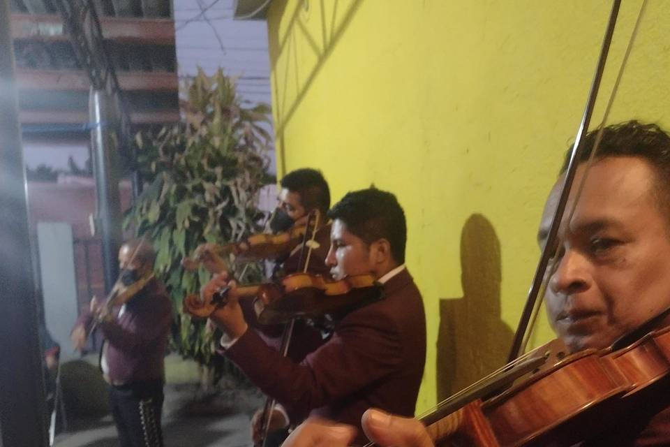 Mariachi Voz de Zacatepec