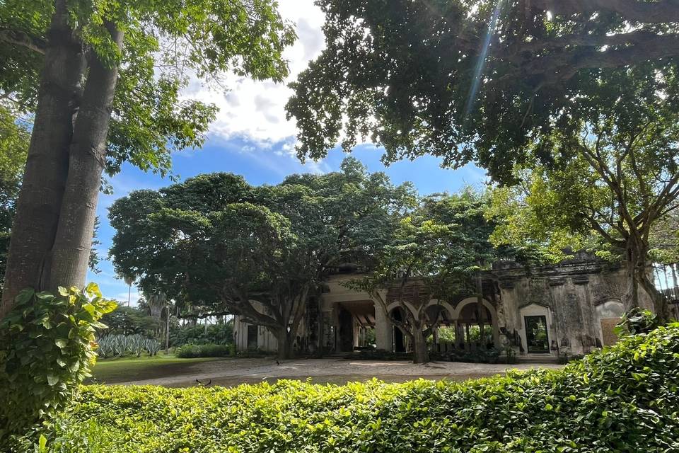 JARDÍN CASA DE MAQUINAS