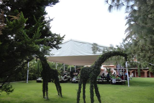 Eventos en jardín