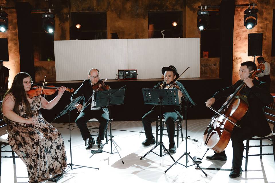 Cuarteto de cuerdas