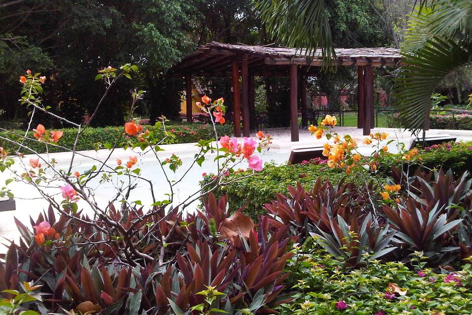 Vista de jardines y alberca