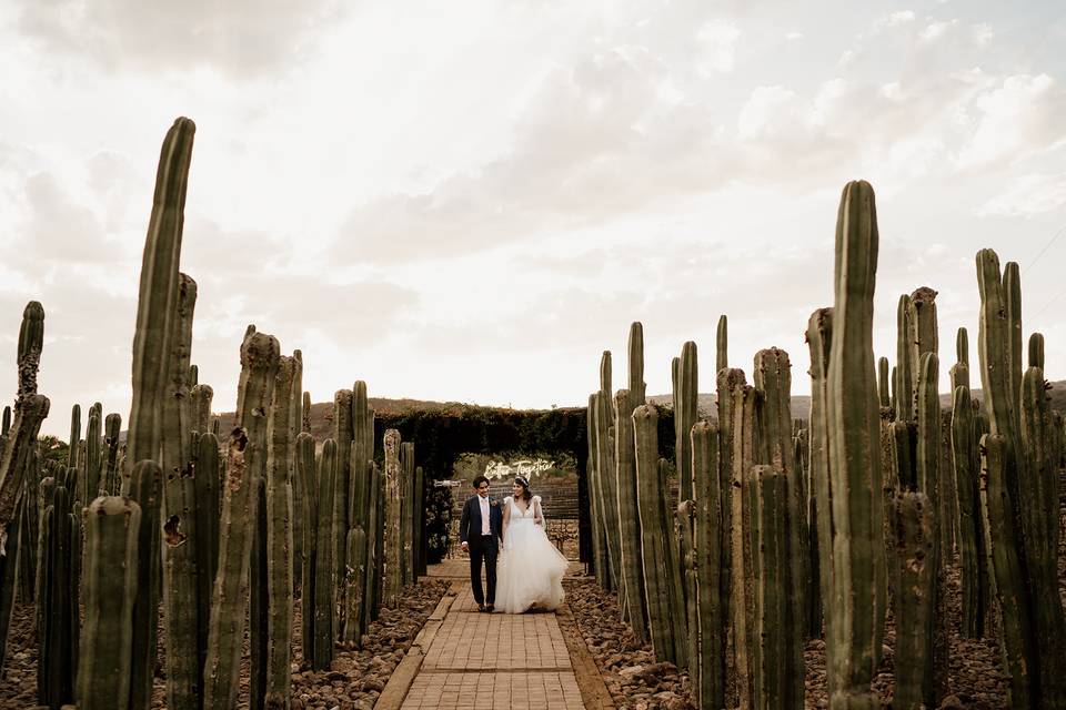 Pérgola con vista a viñedo.