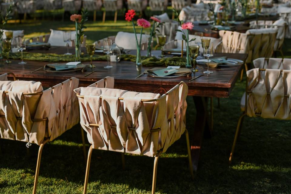 Fiesta en Jardín