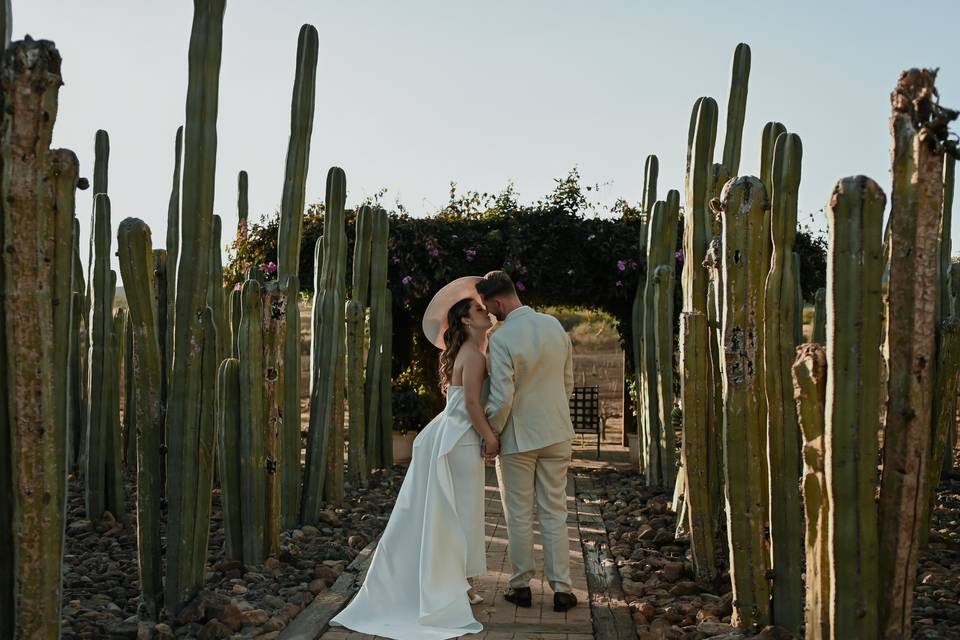 Boda en viñedo