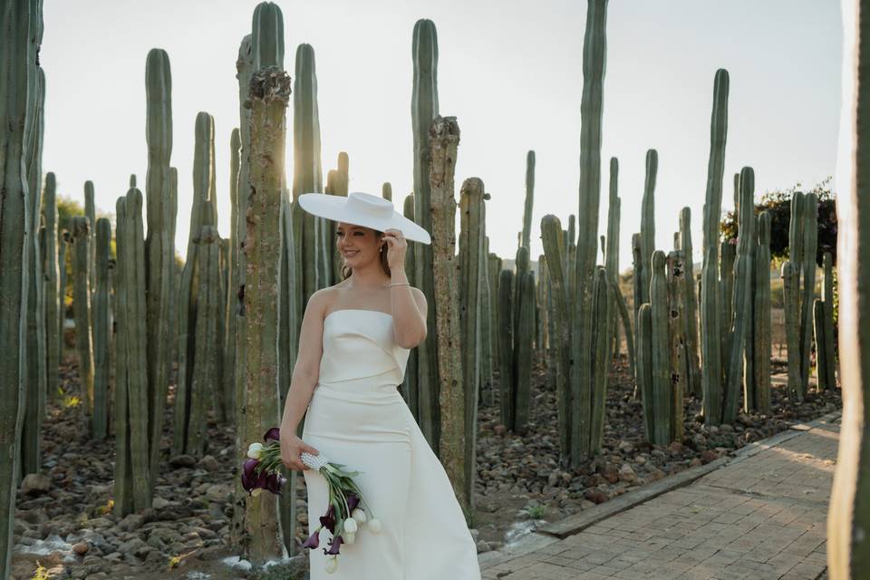Novia en viñedo