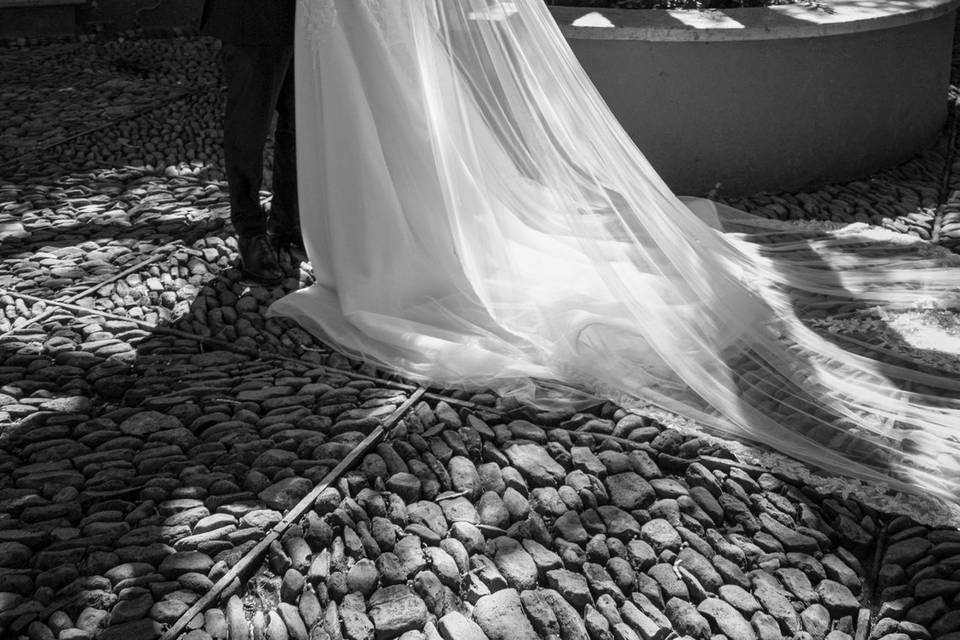 Novios