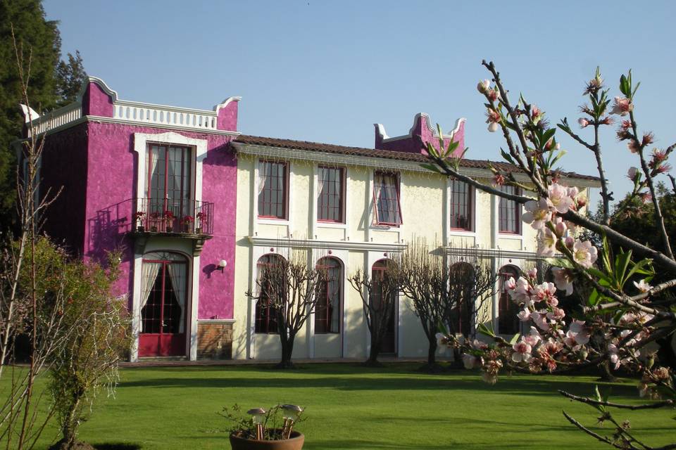 Hacienda San José Actipan