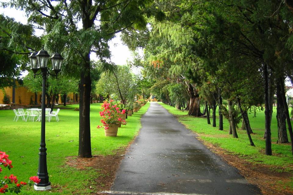 Jardín Bugambilias