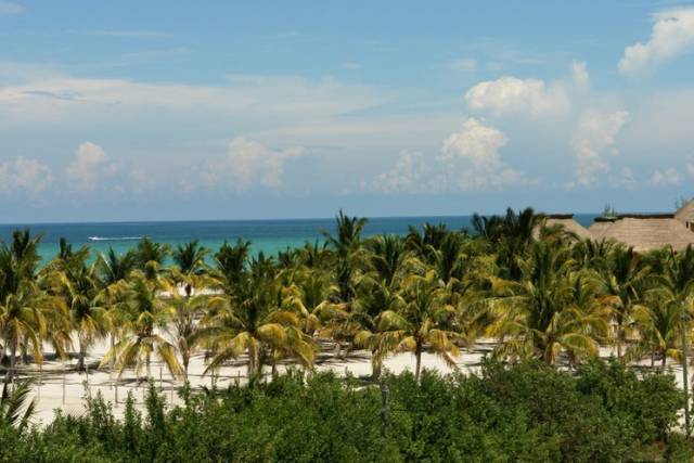 Paraíso en medio del mar