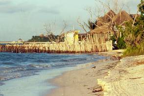 Holbox Collection