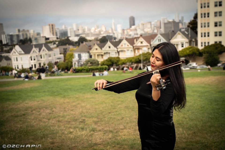 Painted ladies. SF CA.