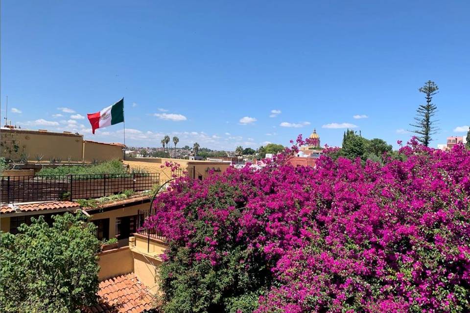 Terraza y techo verde