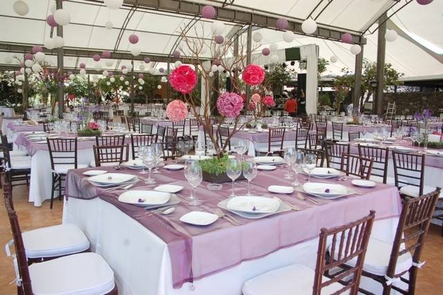 Centro de mesa topiarios