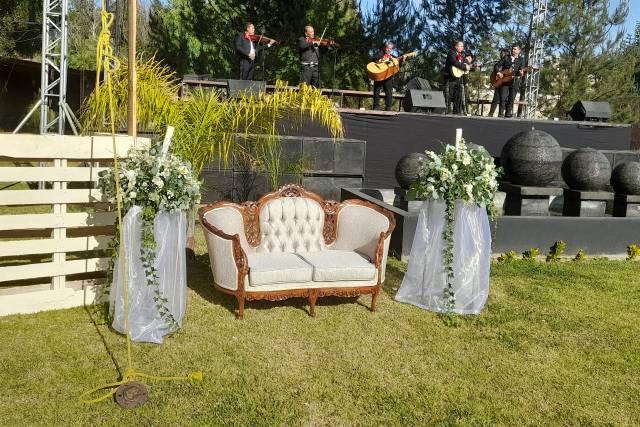 Sillón Luis XV para fotos