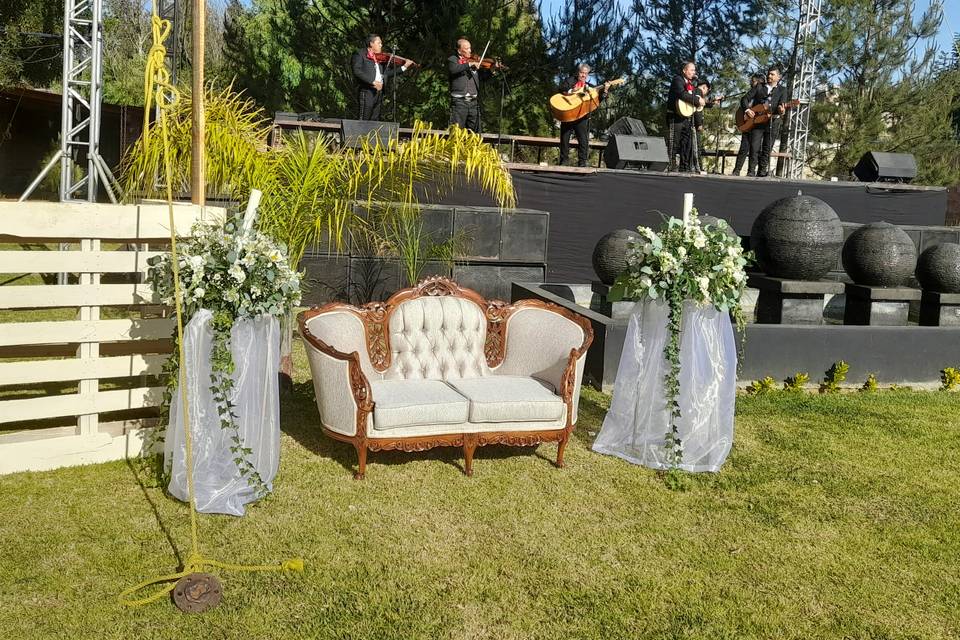 Sillón Luis XV para fotos