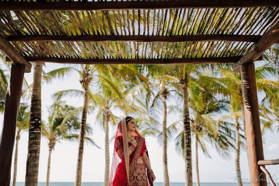 Scarlett Wedding & Event Design