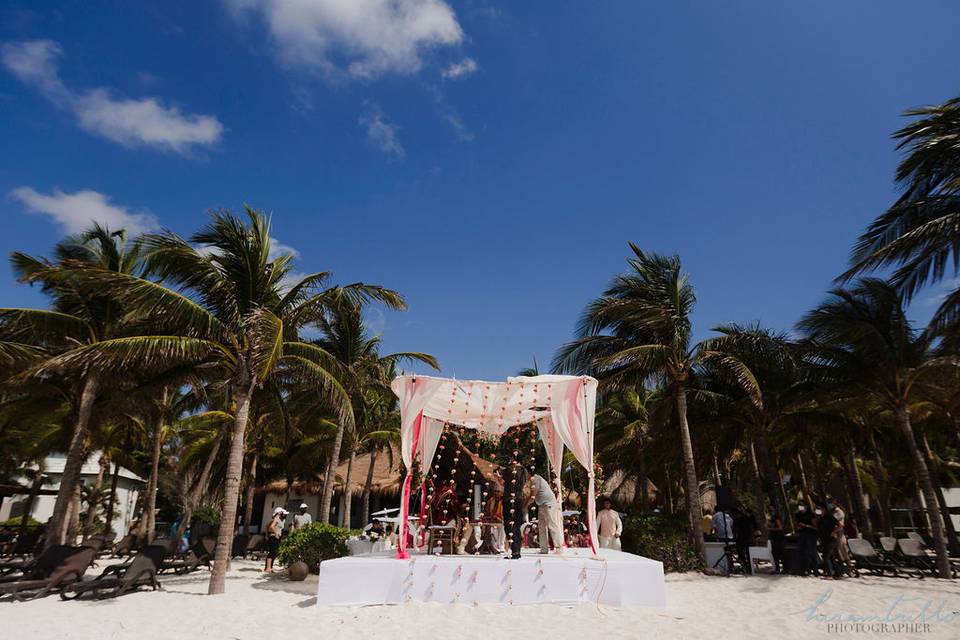 Scarlett Wedding & Event Design