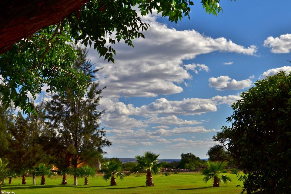 Hacienda Vallumbroso