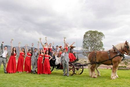 Compartiendo con sus amigos