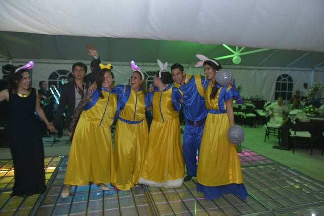 Disfraces de animación