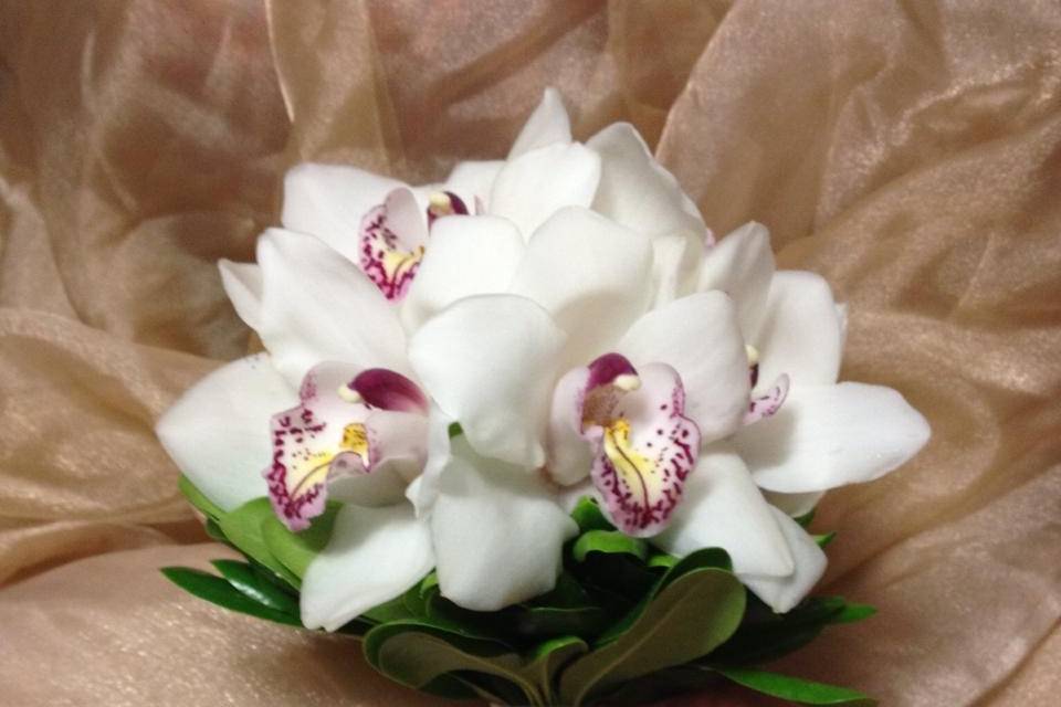 Ramo orquídeas