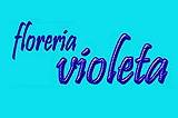 Florería Violeta
