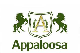 Appaloosa Eventos logo