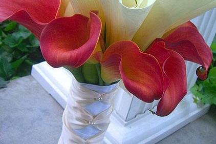 Exótico alcatraces con Cala lilis