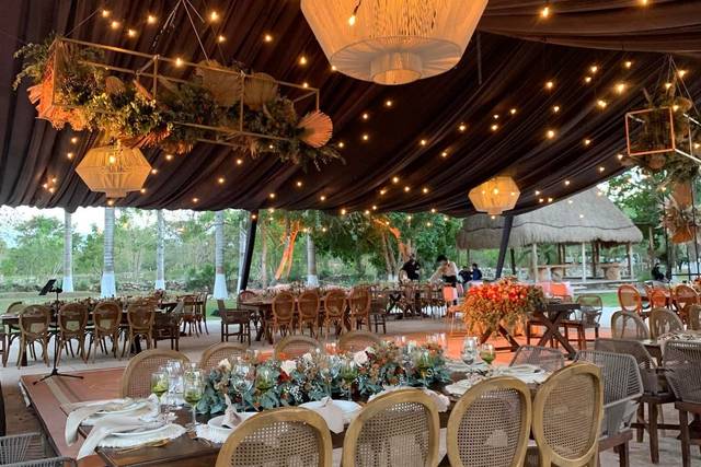 Mega carpa plafón negro e iluminación