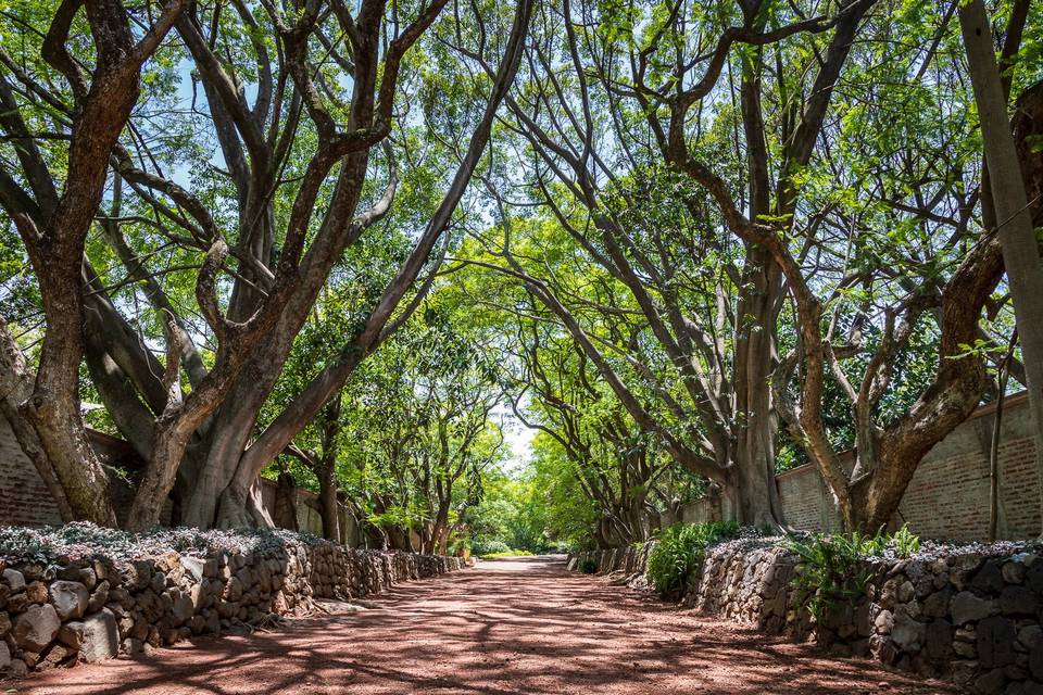 Jardín