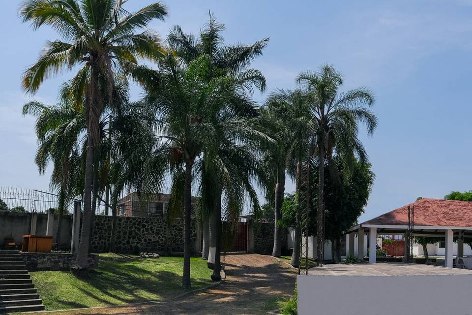 Jardín Royal Palmas