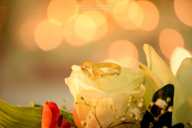 Anillos de bodas