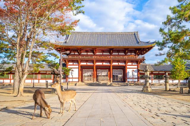 Nara