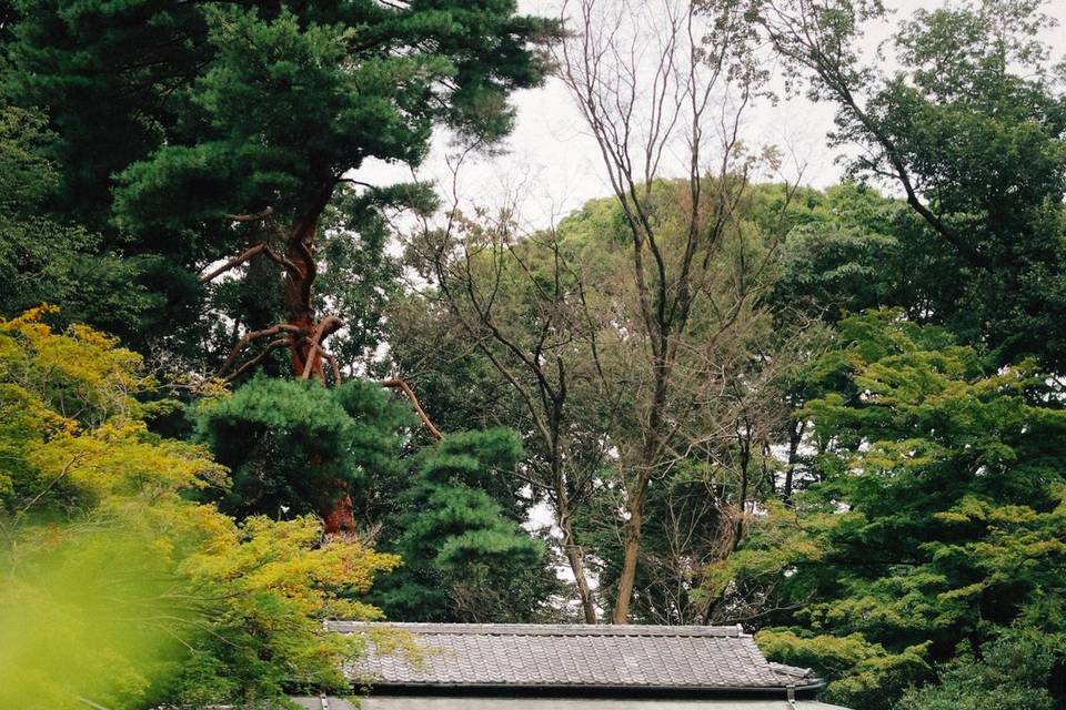 Casa de té y jardín
