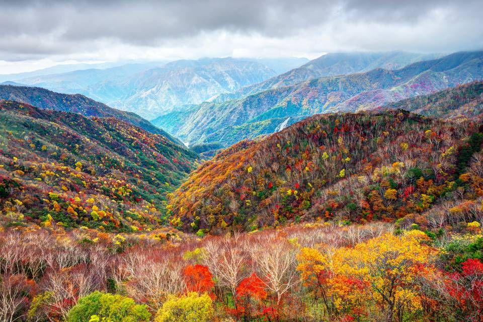 Nikko