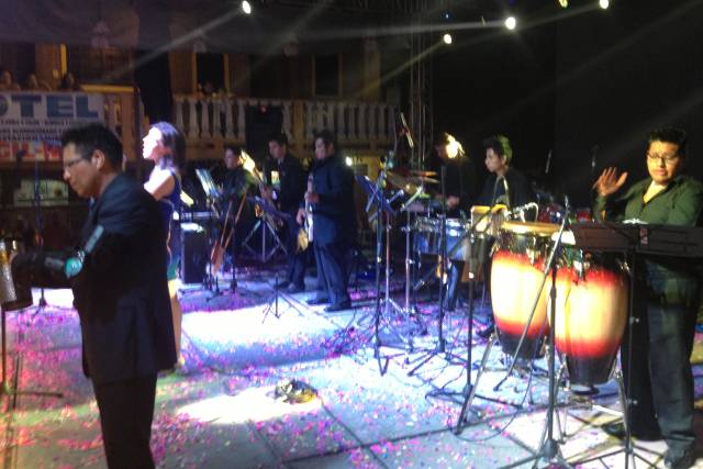 Músicos profesionales