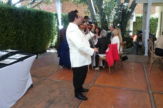 Jardín