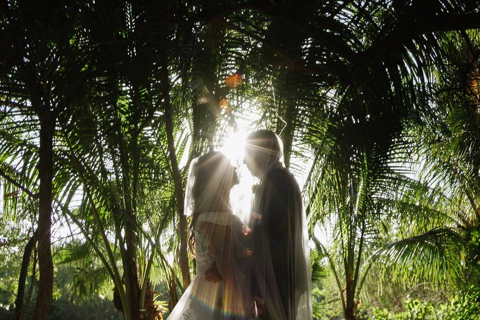 Novios